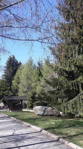 Sykovec Karavan S�korka