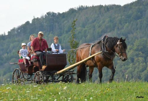 Hostal Vodn� Ml�n Wesselsky