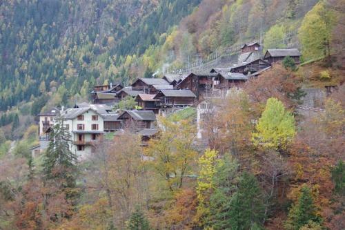 La Cabane De L Homme Tranquille