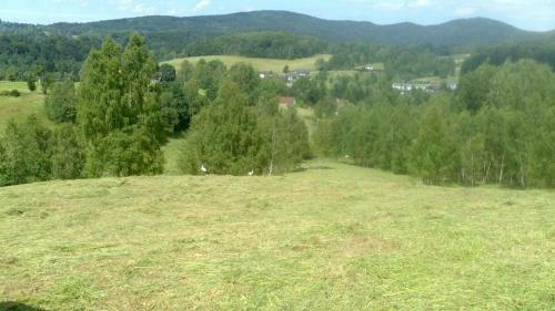 Stanov�n� Na Farm?, M�sto Pro V�? Stan ?i Karavan-dv? Noci