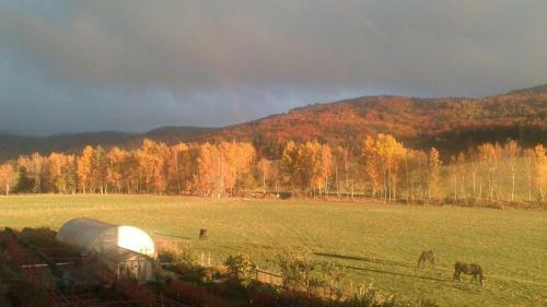 Stanov�n� Na Farm?, M�sto Pro V�? Stan ?i Karavan-dv? Noci