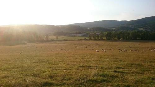Stanov�n� Na Farm?, M�sto Pro V�? Stan ?i Karavan-dv? Noci