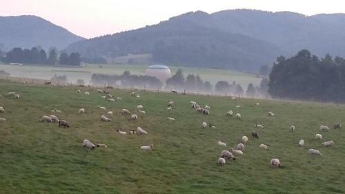 Stanov�n� Na Farm?, M�sto Pro V�? Stan ?i Karavan-dv? Noci