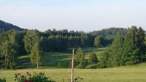 Stanov�n� Na Farm?, M�sto Pro V�? Stan ?i Karavan-dv? Noci