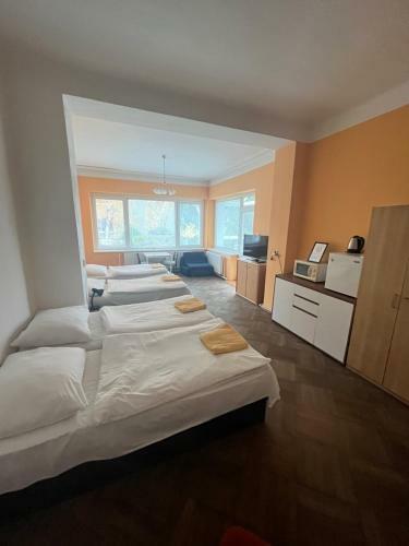 Hostal Pension Moravia