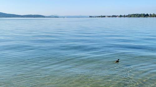 Apartamento Fewo Bodenseewest