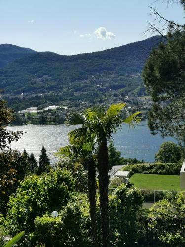 Apartamento Casa Le Palme -montagnola