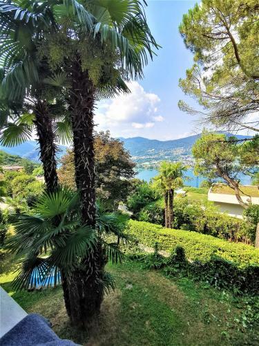 Apartamento Casa Le Palme -montagnola