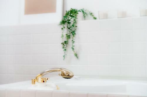 Apartamento Mansarda Gentilino