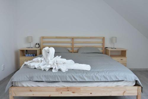 Apartmany U Letiste