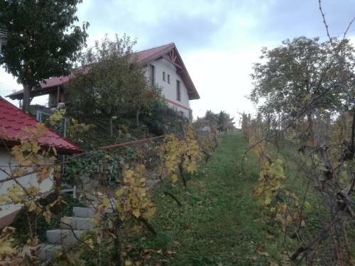 Hostal Penzion Nad Jezerem