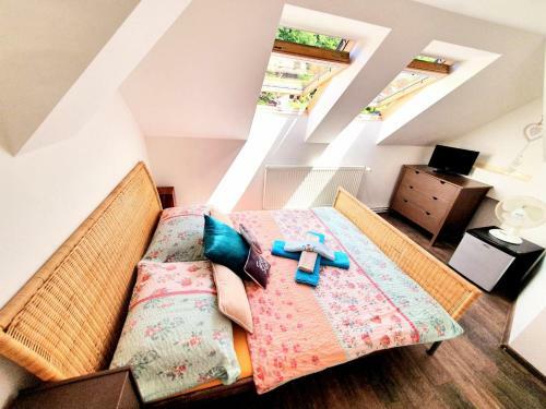 Hostal Penzion Orion
