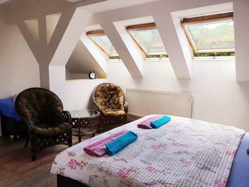 Hostal Penzion Orion