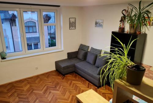 Apartamentos Kousek Do P?�rody I Do Centra