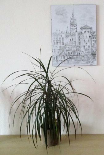 Apartamentos Kousek Do P?�rody I Do Centra