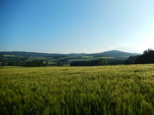 Hostal Ubytov�n� Ron?perk Pob??ovice