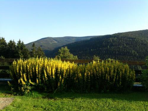 Hostal Penzion Kobr