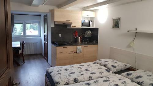 Ski Apartm�ny Nymburska Chata