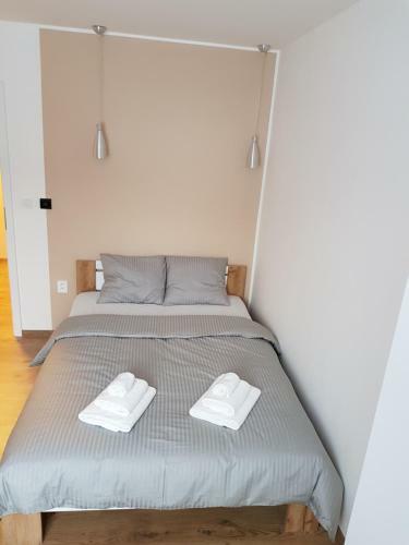 Hostal Apartm�ny Pec Pod Sn??kou