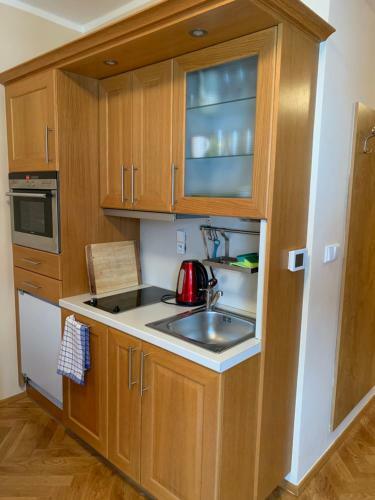 Aparthouse Javor