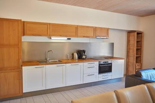 Apartamento Residence Sn??ka