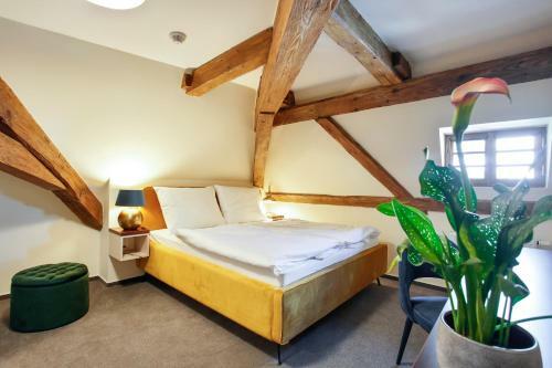 Hostal Z�meck� Penzion