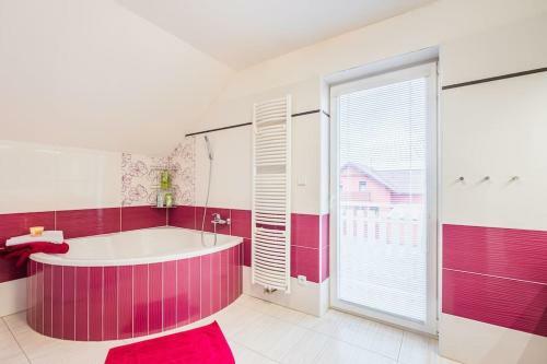 Family Villa Nearly Podebrady