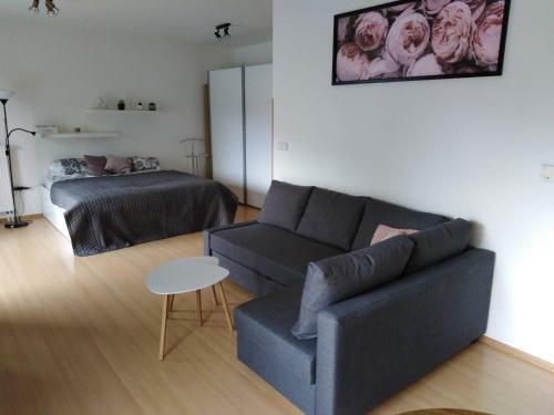 Apartment Archa Pod?brady