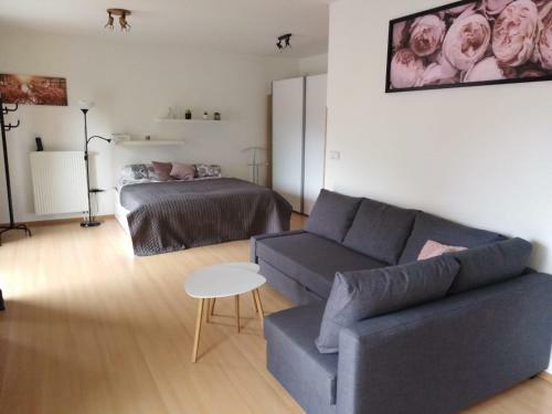 Apartment Archa Pod?brady