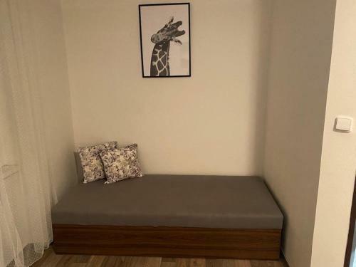 Apartm�ny ?ern� Tulip�n #2