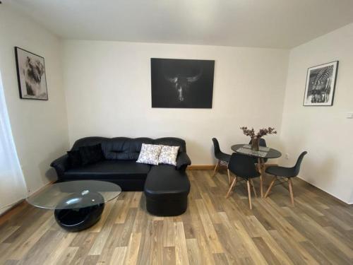 Apartm�ny ?ern� Tulip�n #2