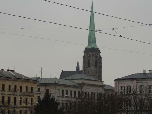 Apartm�ny ?ern� Tulip�n #4