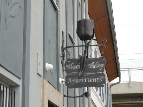 Apartm�ny ?ern� Tulip�n #4