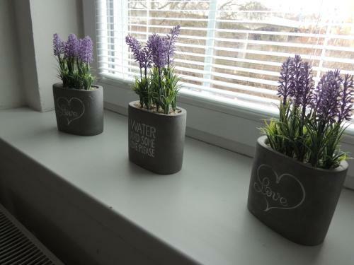 Apartm�ny ?ern� Tulip�n #4