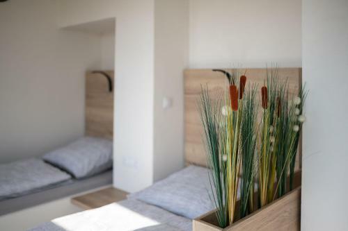 Apartsee Wellness Plze?