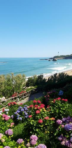 Apartamento Dalhia Studio Centre Ville Biarritz