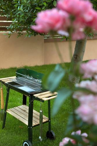 Apartamento Chronis Family Villas