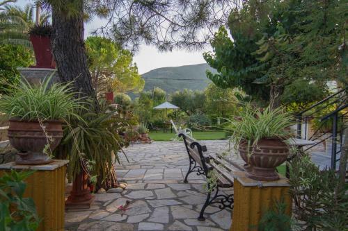 Olive Tree Apartment