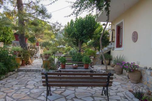 Olive Tree Apartment