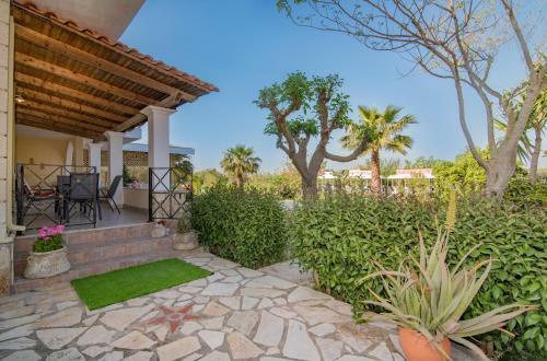 Olive Tree Apartment