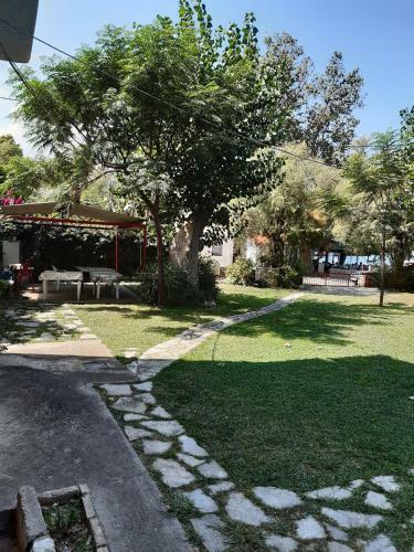 Apartamento Blue Garden