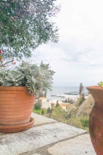 Apartamento Cycladic Garden Getaway With Panoramic Views