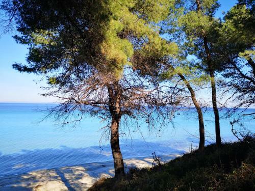 Katerina's Holiday Home