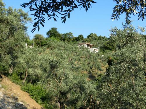 Apartamento Tsorni Hill Cottage