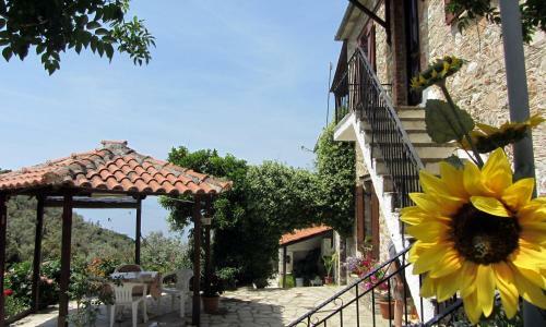 Apartamento Tsorni Hill Cottage