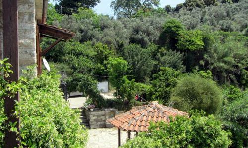 Apartamento Tsorni Hill Cottage