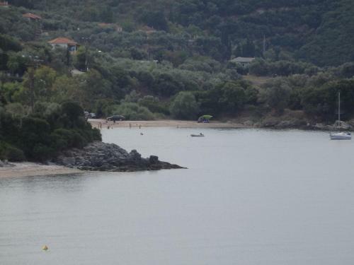The Small House In The Olive Grove