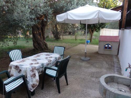 The Small House In The Olive Grove