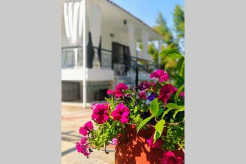 Apartamento Matoula's House
