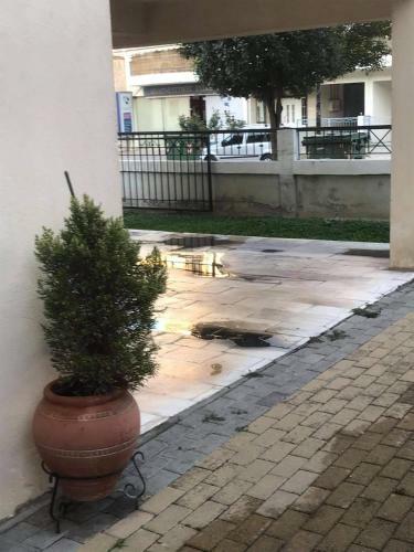 Luxury Apartment Arion 2